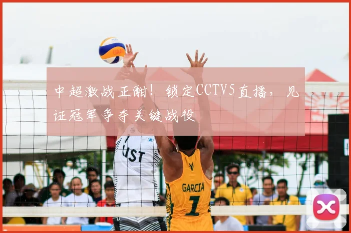中超激战正酣!锁定CCTV5直播,见证冠军争夺关键战役